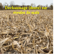 le dchaumage sur teules de mas