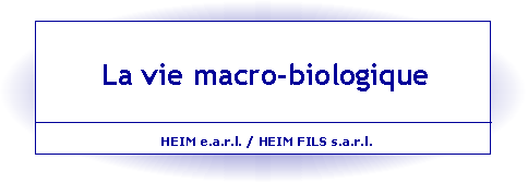 La vie macrobiologique