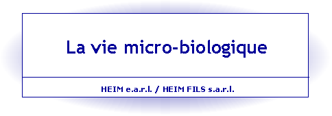 la vie microbiologique